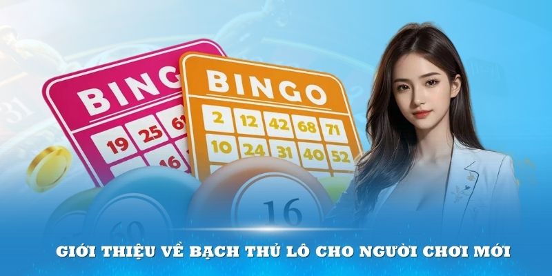 Giới thiệu về bạch thủ lô cho người chơi mới